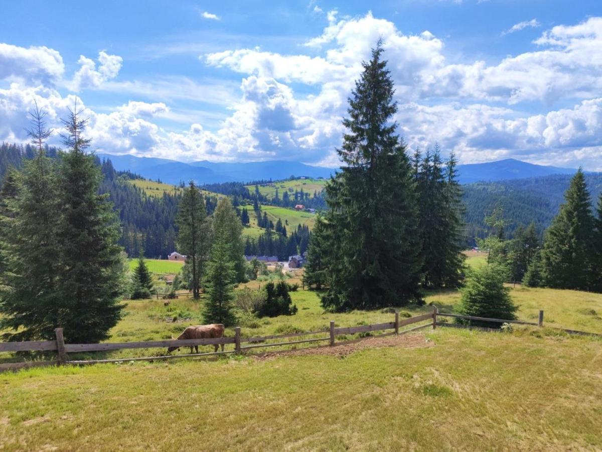 Polyanitsa Popovichevskaya Lidia Chalets מראה חיצוני תמונה