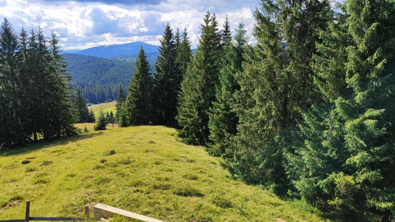Polyanitsa Popovichevskaya Lidia Chalets מראה חיצוני תמונה